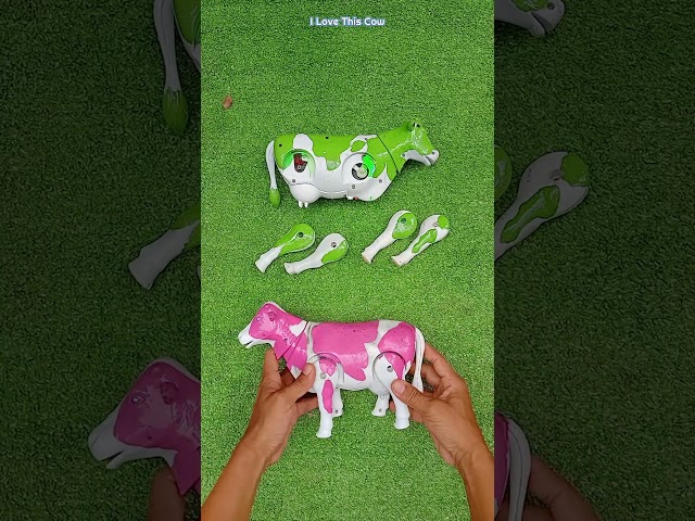 Assemble Cute Cows and Colorful Cows #shorts #shortsvideo #youtubeshorts