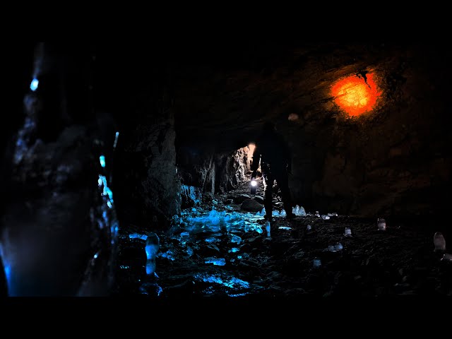 Solo Exploring Dark WW2 Bunkers (4K HDR)