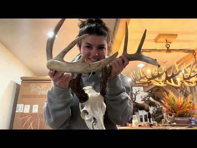 Deer Season Update! Day in the Life & Redneck European Mounts on my Alabama Deer!