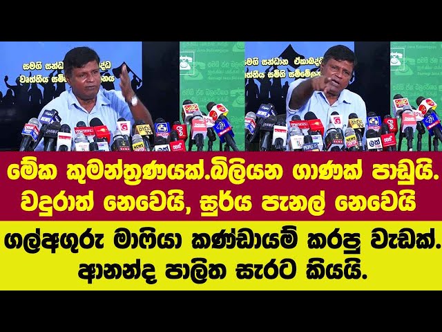 වදුරාත් නෙවෙයි, සුර්ය පැනල් නෙවෙයි ආනන්ද පාලිත විදුලි බිදවැටිම ගැන වෙනස් කථාවක් කියයි.