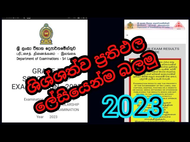 class five scholarship result 2023 | ශිශ්ශත්ව ප්‍රතිඵල 2023 | dn tv