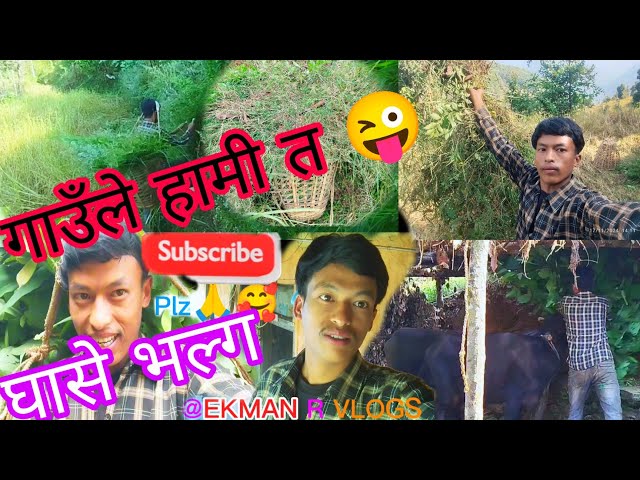 new vlog 🥰#plz_subscribe_my_channel #keepwatching #keepsuppporting #villagelifestyle #grasscutting 🥰