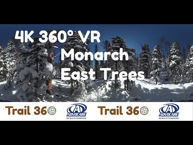 Monarch East Trees Full-Trail 360