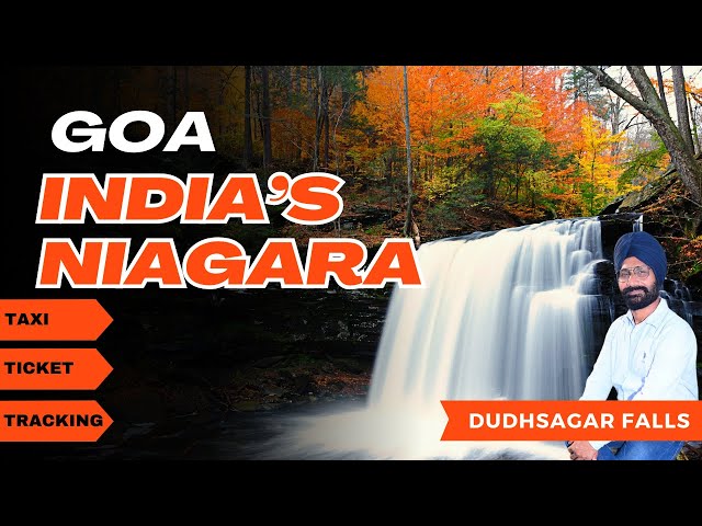 Dudhsagar Waterfall Goa | Dudhsagar Waterfall Travel Guide with Budget | Dudhsagar Trek Guide | GOA