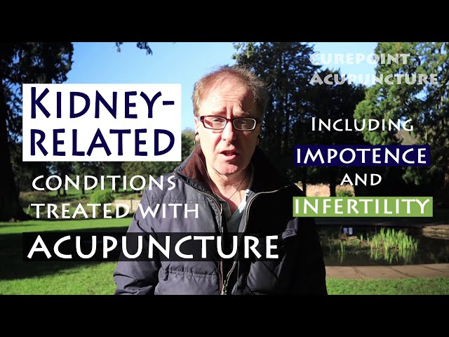 Kidney-related conditions treated with acupuncture, including impotence and infertility