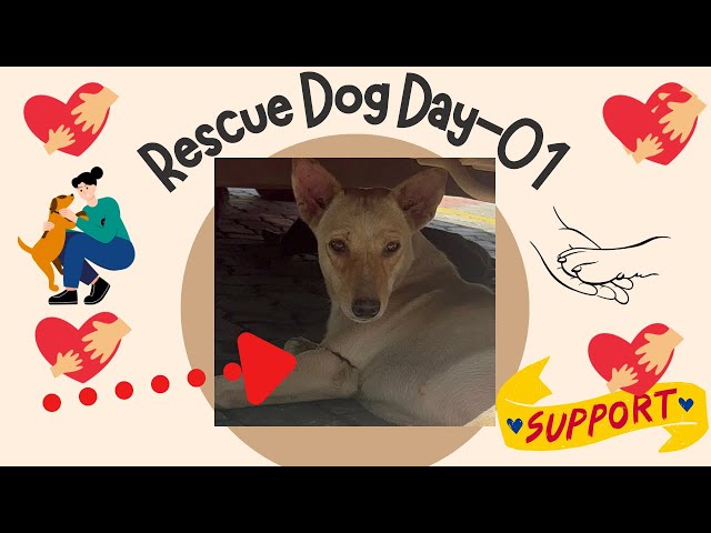 Rescuing Hope Day 01 #feeds #animalrescue #dog #doglover #johnabraham #PETA #peopleforanimals