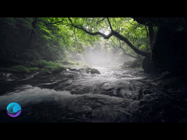 Forest Dreamscape | Peaceful River Meditation with ASMR Nature Sounds