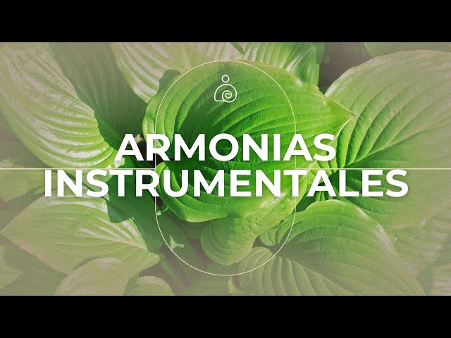 🌿🌿Despertar | Música Ambiental 2024 | Libera El Estrés Y la Ansiedad🌿🌿