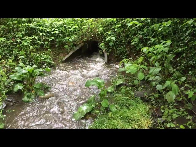 Stormwater runoff filling a detention basin