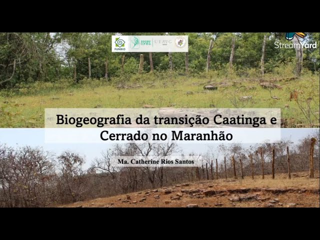 Biogeografia de Transição Caatinga e Cerrado no Maranhão - Ma. Catherine Rios Santos