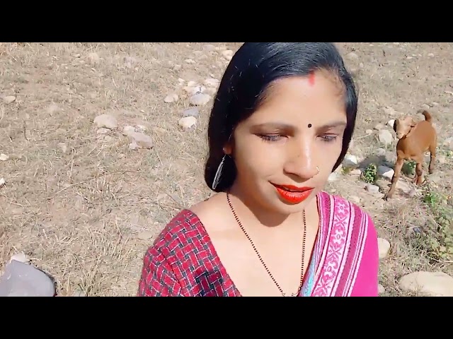 जंगल में भेड़ बकरी चराना 🐑🐏 viral video ❣️#Reena Devi 🙏