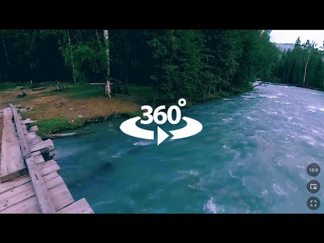 360 VR virtual reality of a wild forest | VR360 PLV.