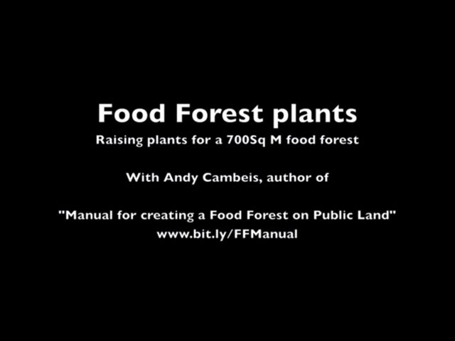 Food Forest plants - enough for a cluster