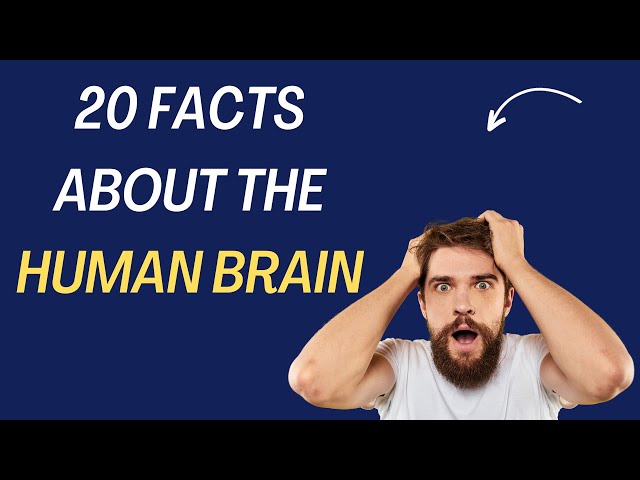 20 Mind Boggling Facts About The Human Brain