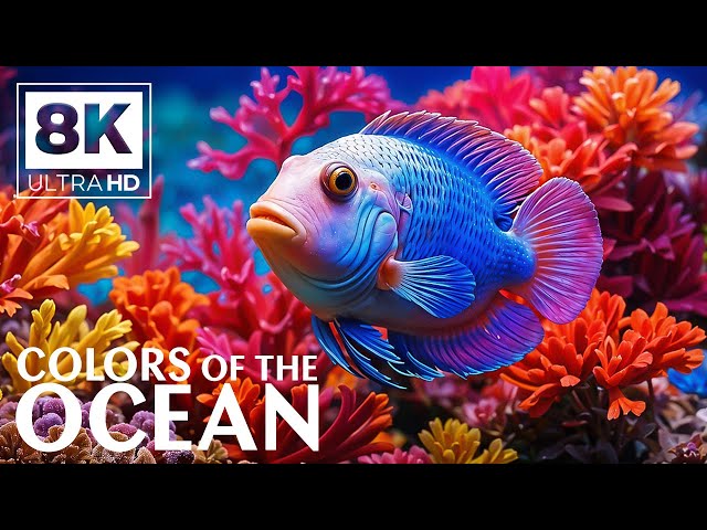 Aquarium 8K (VIDEO ULTRA HD) - Captivating Beauty of Coral Reef Fish - Soothing Meditation Music