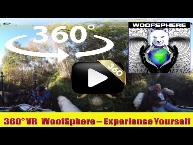 360 Videos | WooFDriving Sussex Branch Trail, NJ | Virtual Reality | Woofsphere