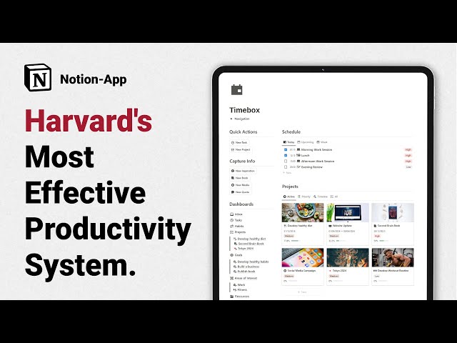 Timebox: Harvard's Top Productivity System for Notion