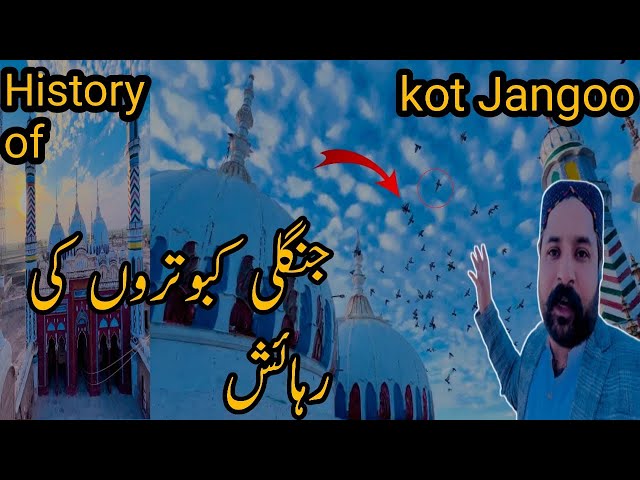 History of kotjangoo | Badshahi mosque🕌     | jungli kabotro ki rehaish |