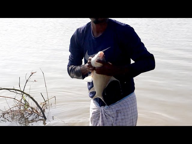 No Rod, No Reel – Just Handline! Massive Catla Fishing Adventure