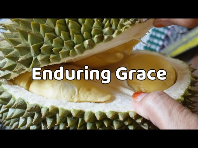 Enduring Grace