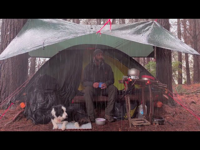 Camping in Rain with Bushcraft