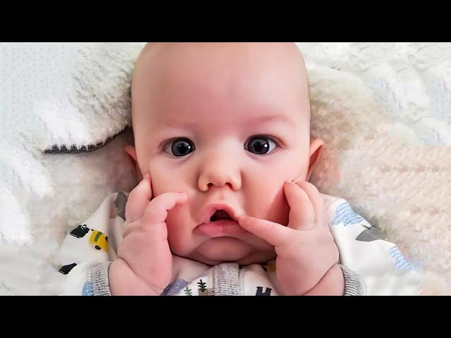 Funny Baby Videos Try Not to Laugh Challenge | BABY BROS