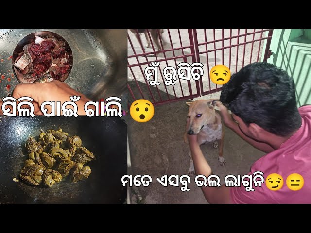 ମତେ ଏସବୁ ଭଲ ଲାଗୁନି 😏😑। shortsofmonali। odia vlog #dailyvlog #odiavlog #vlog