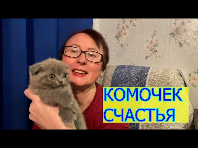 комочек счастья // муки выбора // есть только миг между прошлым и будущим // право на мечту