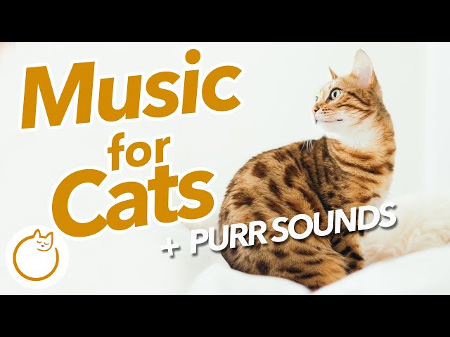 EXTRA SOOTHING Cat Purr noises + Relaxing Music Mix (20 HOURS)