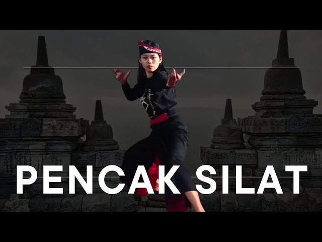 SENI PENCAK SILAT JAWA TIMURAN