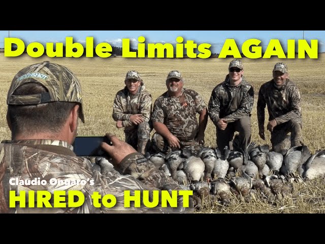 Hired to Hunt Double Limits Baby!! ... Season 8 #3 ... Hired to Hunt Claudio Ongaro in ALBERTA