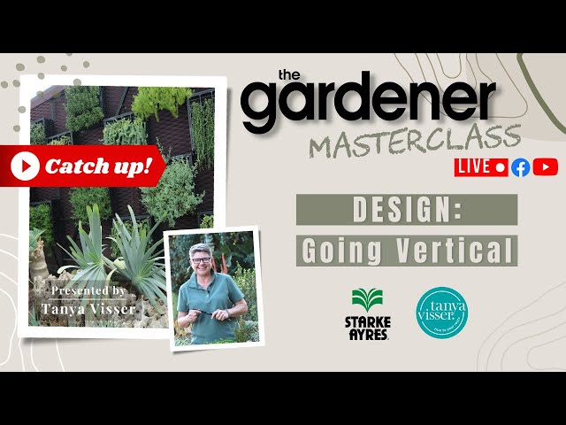 Going Vertical Masterclass with Tanya Visser