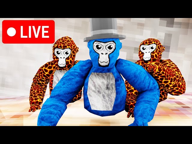 PLAYING GORILLA TAG LIVE!!!!