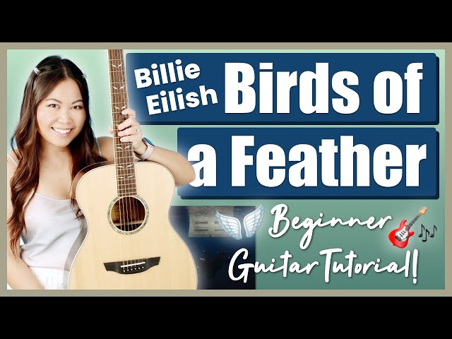 Birds of a Feather Billie Eilish EASY Guitar Lesson Beginner Tutorial | Chords, Strumming & Tab! 🎸