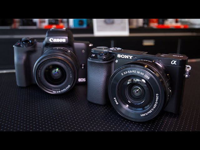 Sony A6100 Hands-On And Opinion (Canon M50 Compairson)