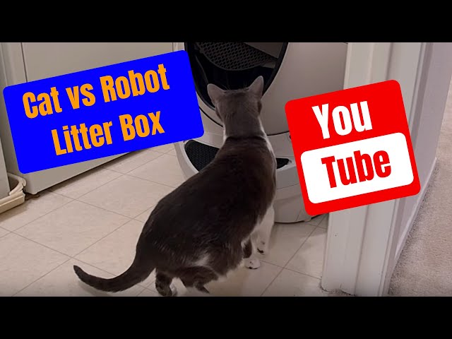 CAT REACTION TO ROBOT LITTER BOX!