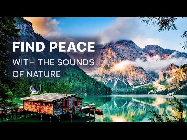 📌 1 Hour of Relaxing Nature Sounds | A Pure Experience of Stillness and Freedom 🌿🎧