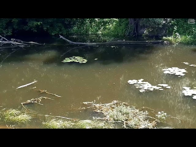 River Vuka flows backwards