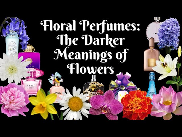 Floral Perfume Notes Dark Meanings Symbolism of Flowers Fragrance Collection About Floral Perfumes