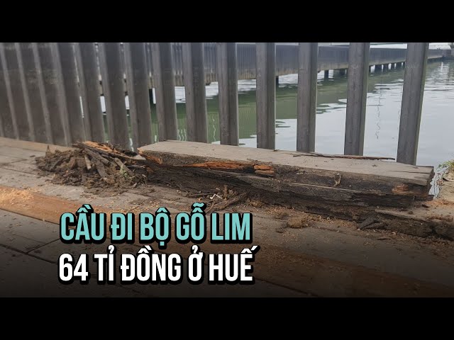 Cận cảnh cầu đi bộ gỗ lim 64 tỉ đồng ở Huế sau 7 trận lũ