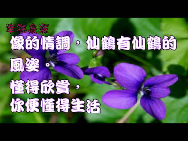 [幸福泉源]人生感悟:學會欣賞自己