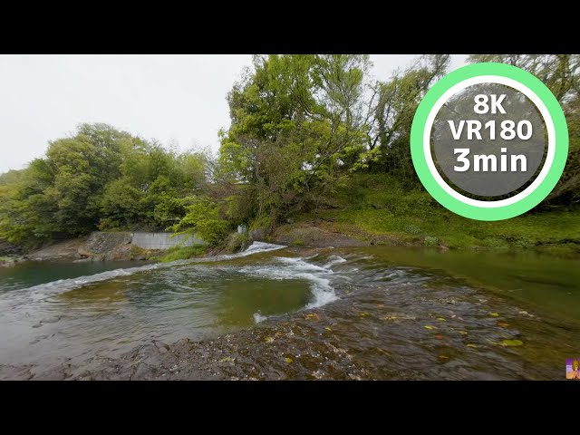 3 Min Meditation Look at the swirling river VR180 8K Binaural ASMR