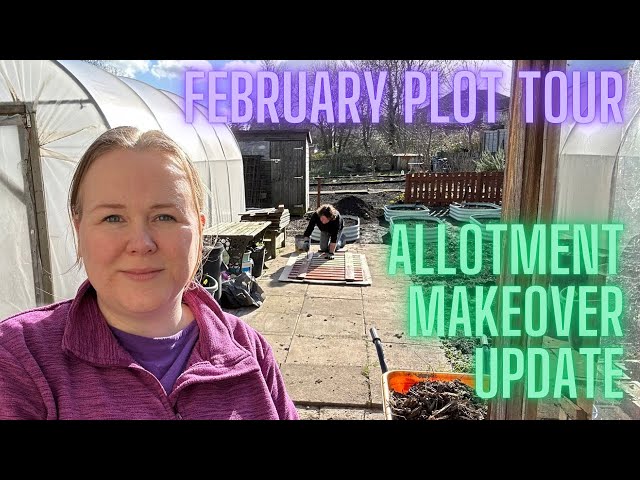 Allotment makeover update and a February plot tour.