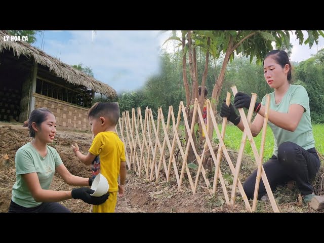 single mother bamboo gardening - single mother life