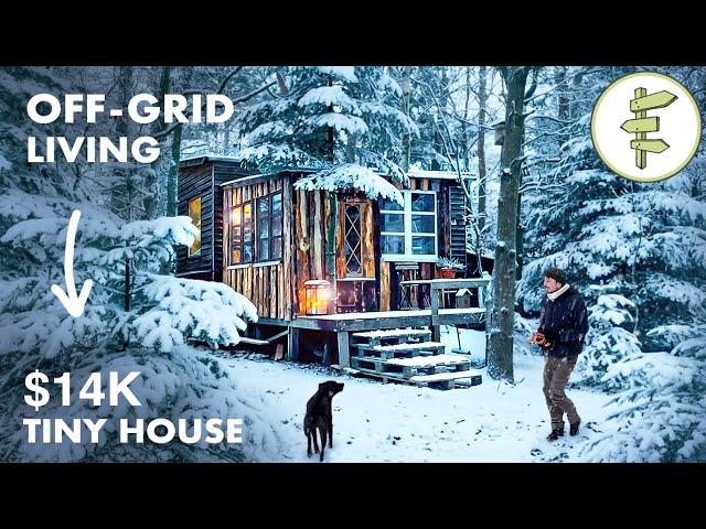 Self-Sufficient Man Built an Off-Grid Tiny House Homestead & Lives on a Minimal Budget