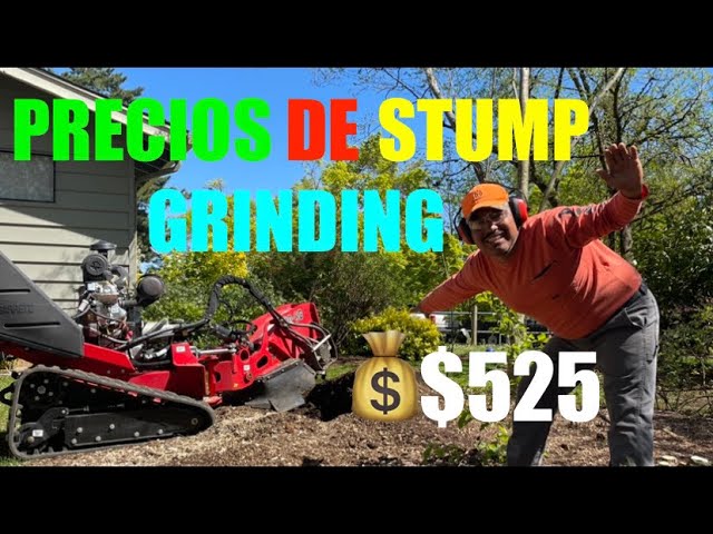 PRECIOS DE STUMP GRINDING Y MAS #sunrise yard care & construction Llc.