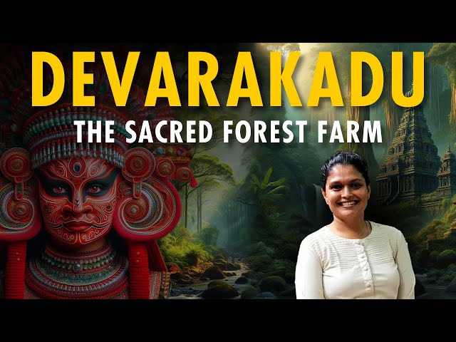 Devarakadu: The Sacred Forest Farm & Its Forgotten Healing Secrets