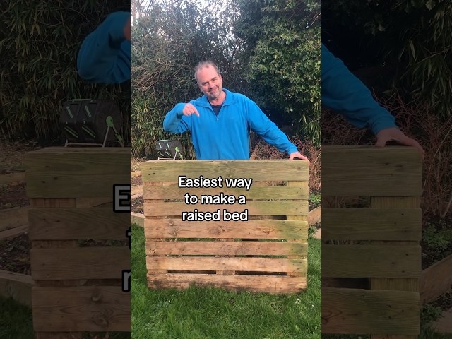 How to make a simple raised bed from pallets #gardening