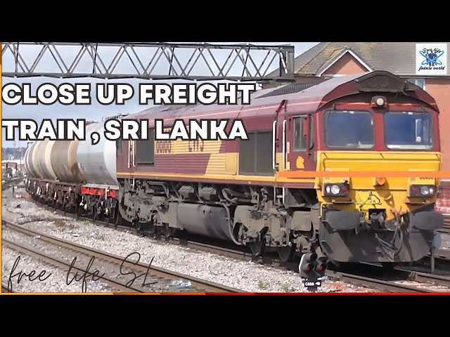 Close up with a Mighty Freight Train in Maradana, Sri Lanka 🚆