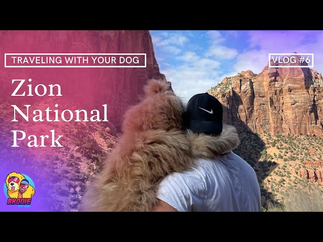 TRAVELING WITH YOUR DOG | Zion National Park | Dog Vlog #6 |